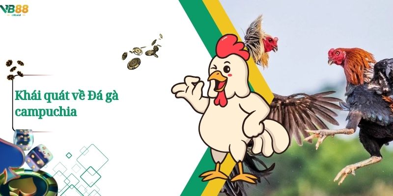 Xem Đá Gà Campuchia Trực Tuyến – Trận Đấu Nảy Lửa Chỉ Có Tại VB88 2 Khái quát về Đá gà campuchia