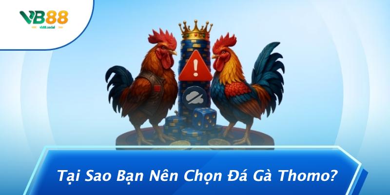 Phân Biệt Đá Gà Thomo Và Đá Gà Campuchia: Những Điều Bạn Chưa Biết 3 Tại Sao Bạn Nên Chọn Đá Gà Thomo?