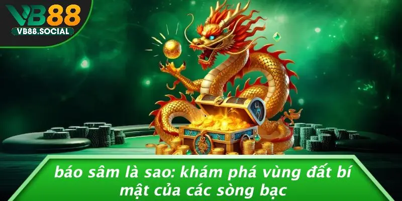 BÁO SÂM LÀ SAO: KHÁM PHÁ VÙNG ĐẤT BÍ MẬT CỦA CÁC SÒNG BẠC 1 BÁO SÂM LÀ SAO: KHÁM PHÁ VÙNG ĐẤT BÍ MẬT CỦA CÁC SÒNG BẠC